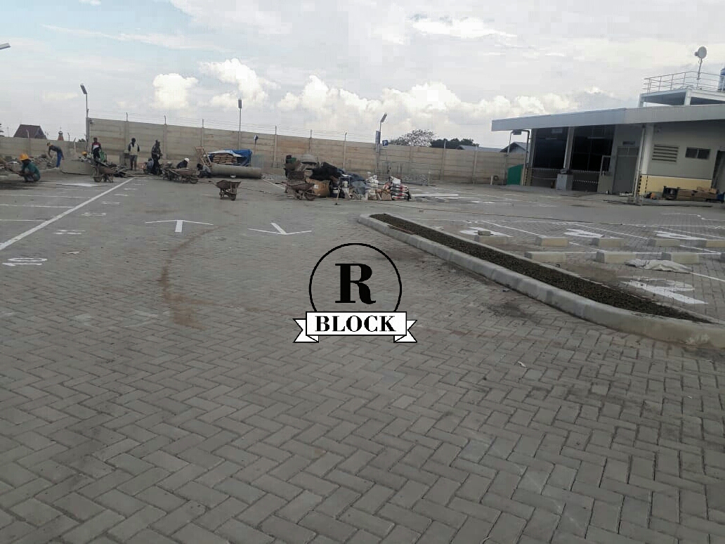 Paving Block Model Bata Rani Block