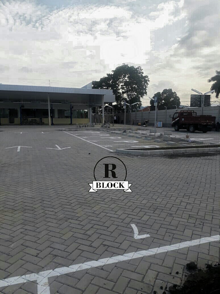 Paving Block Model Bata Rani Block